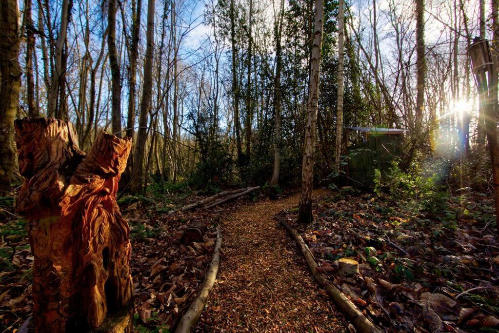 Cosy Woodland Romantic Retreat With Log Fires And Nature Sturry 外观 照片