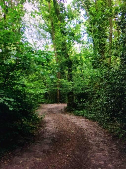 Cosy Woodland Romantic Retreat With Log Fires And Nature Sturry 外观 照片