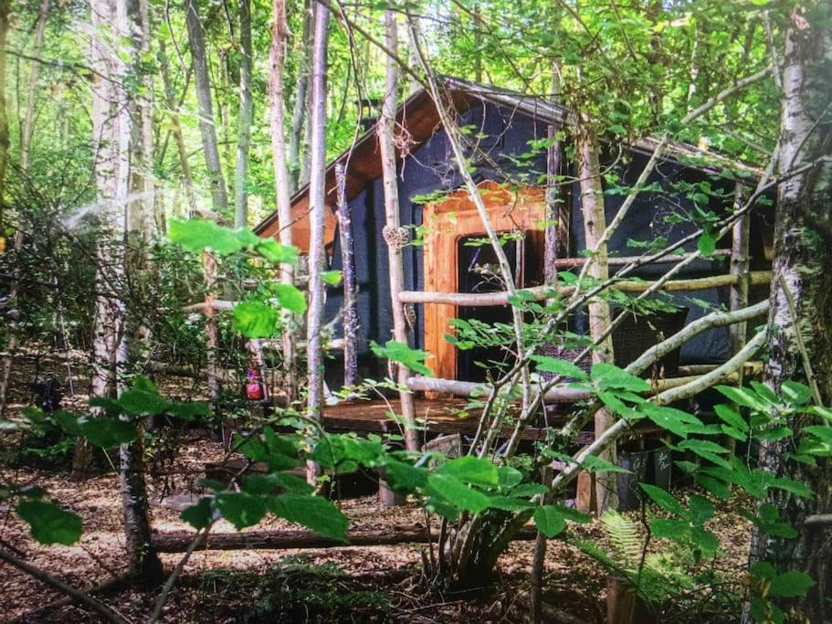 Cosy Woodland Romantic Retreat With Log Fires And Nature Sturry 外观 照片