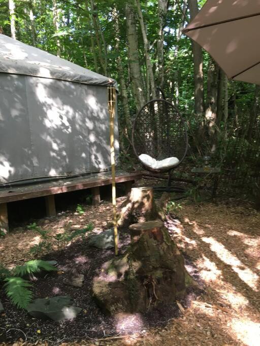 Cosy Woodland Romantic Retreat With Log Fires And Nature Sturry 外观 照片
