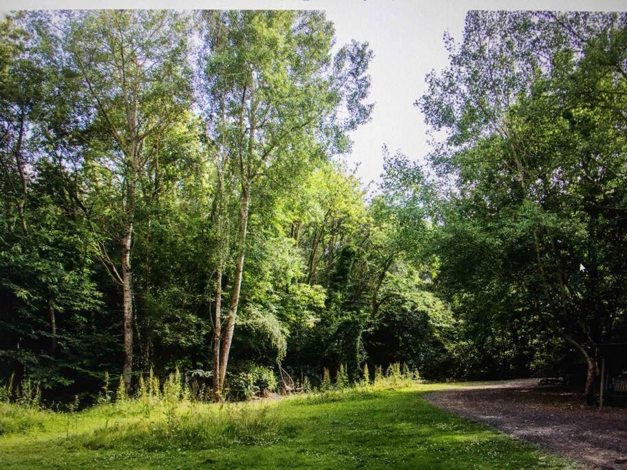 Cosy Woodland Romantic Retreat With Log Fires And Nature Sturry 外观 照片