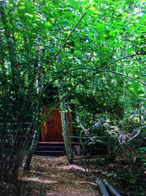 Cosy Woodland Romantic Retreat With Log Fires And Nature Sturry 外观 照片