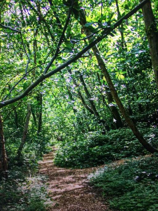 Cosy Woodland Romantic Retreat With Log Fires And Nature Sturry 外观 照片