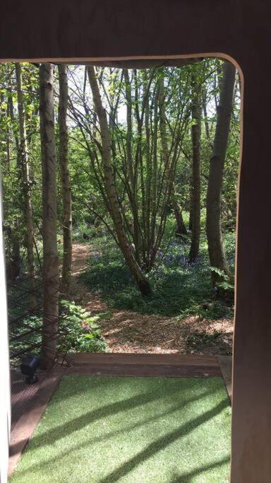 Cosy Woodland Romantic Retreat With Log Fires And Nature Sturry 外观 照片