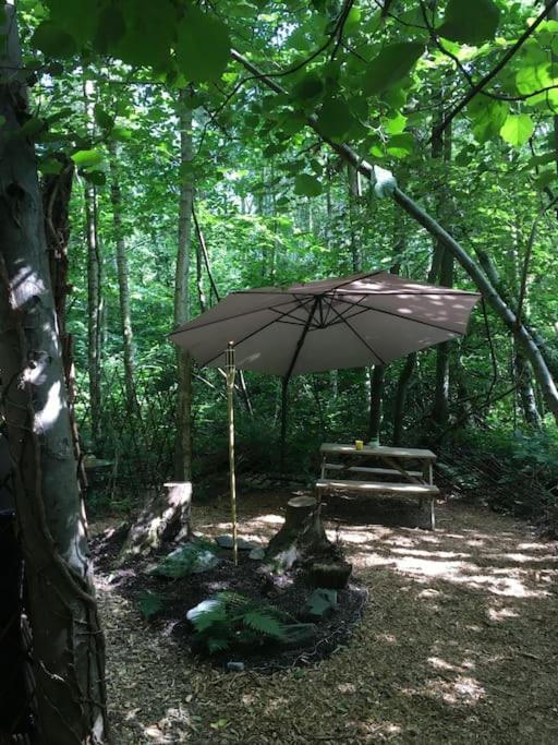 Cosy Woodland Romantic Retreat With Log Fires And Nature Sturry 外观 照片