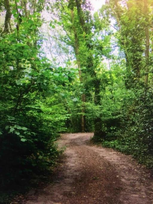 Cosy Woodland Romantic Retreat With Log Fires And Nature Sturry 外观 照片