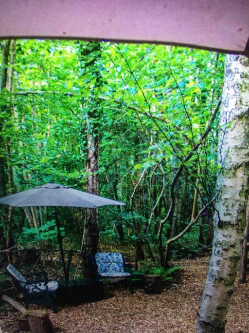 Cosy Woodland Romantic Retreat With Log Fires And Nature Sturry 外观 照片