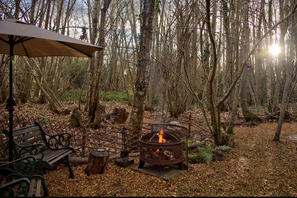 Cosy Woodland Romantic Retreat With Log Fires And Nature Sturry 外观 照片