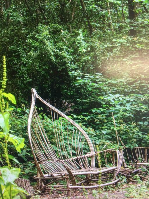 Cosy Woodland Romantic Retreat With Log Fires And Nature Sturry 外观 照片